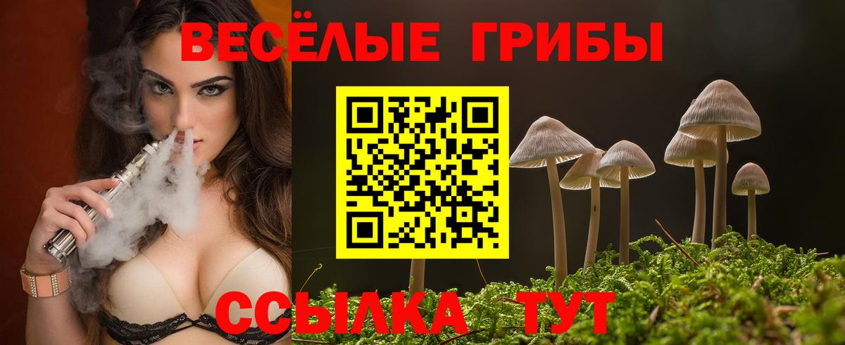 Галлюциногенные грибы GOLDEN TEACHER  Псилоцибиновые грибы Psilocybe  Артём  Вход с VPN 